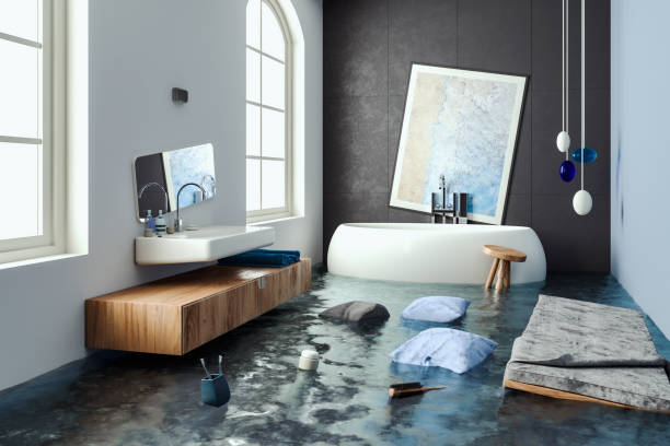 Best Mold removal after water damage  in Mckees Rocks, PA