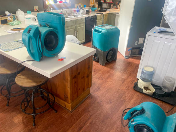 Best Emergency water damage restoration  in Mckees Rocks, PA
