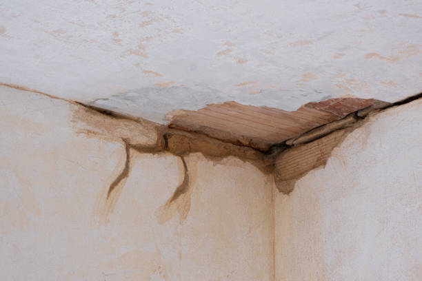 Best Water damage restoration specialists  in Mckees Rocks, PA