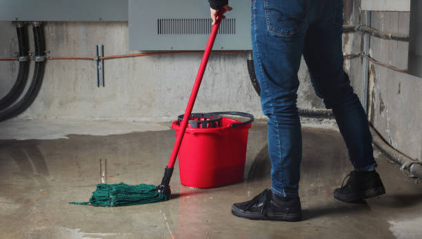 Best Water damage restoration cost  in Mckees Rocks, PA