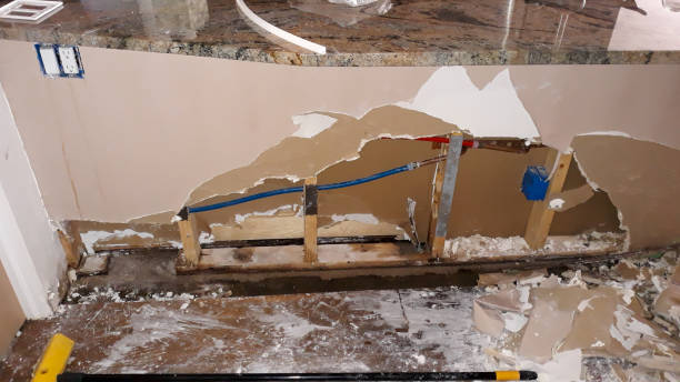Best Water damage restoration insurance claims  in Mckees Rocks, PA