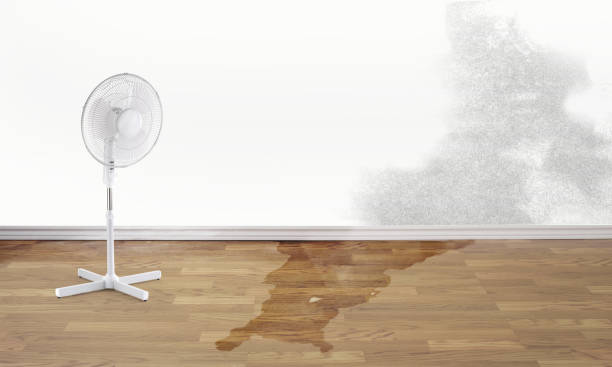 Best 24/7 water damage repair  in Mckees Rocks, PA