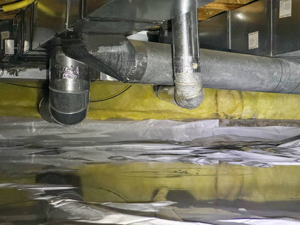Best Water damage contractors near me  in Mckees Rocks, PA