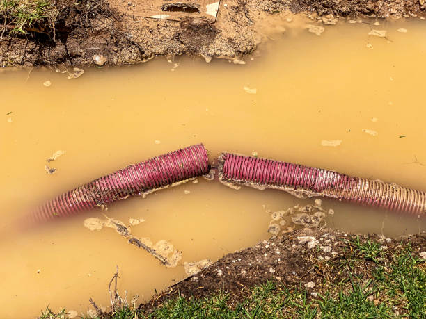 Best Residential water damage restoration  in Mckees Rocks, PA
