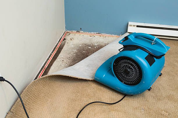 Water damage restoration insurance claims in Mckees Rocks, PA